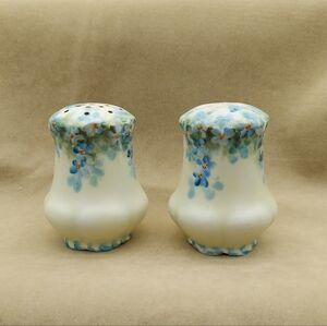 Salt & Pepper Shakers Handpainted Bavaria Blue Floral Flowers